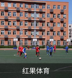 案例红果体育