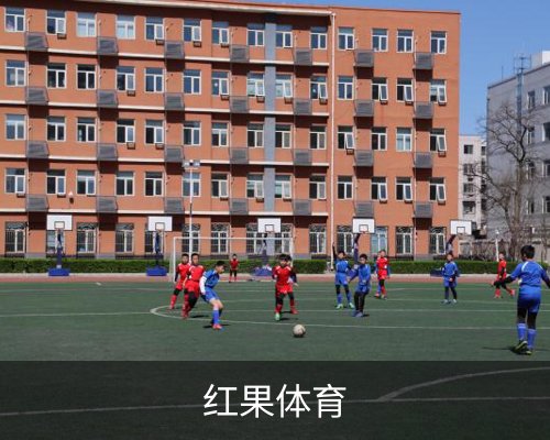 红果体育体育的故事 